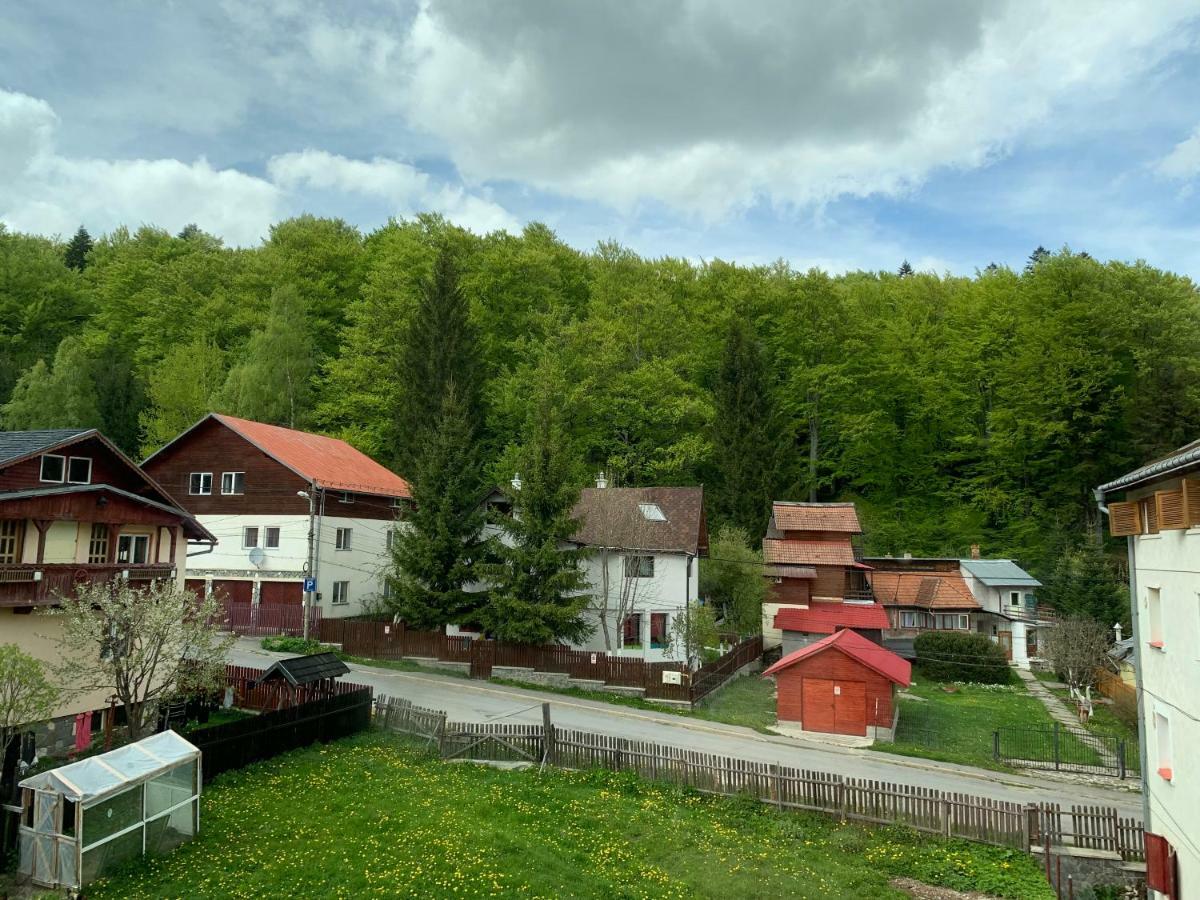 Vila Curcubeu Buşteni Exterior foto