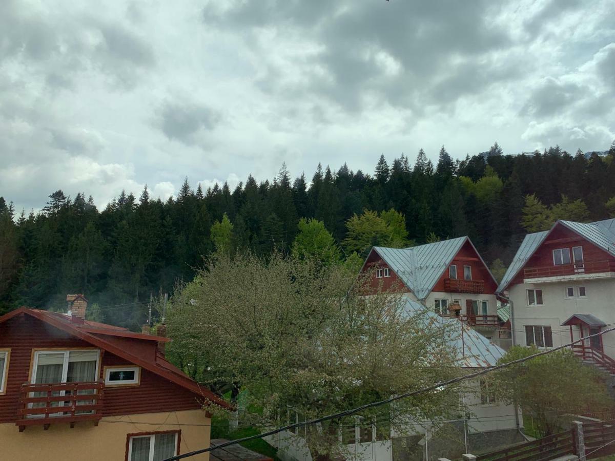 Vila Curcubeu Buşteni Exterior foto