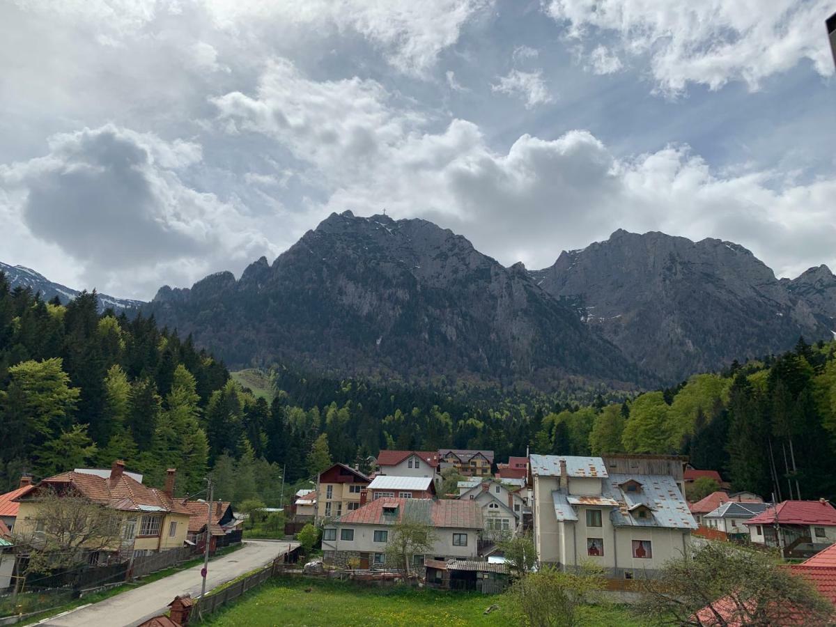 Vila Curcubeu Buşteni Exterior foto