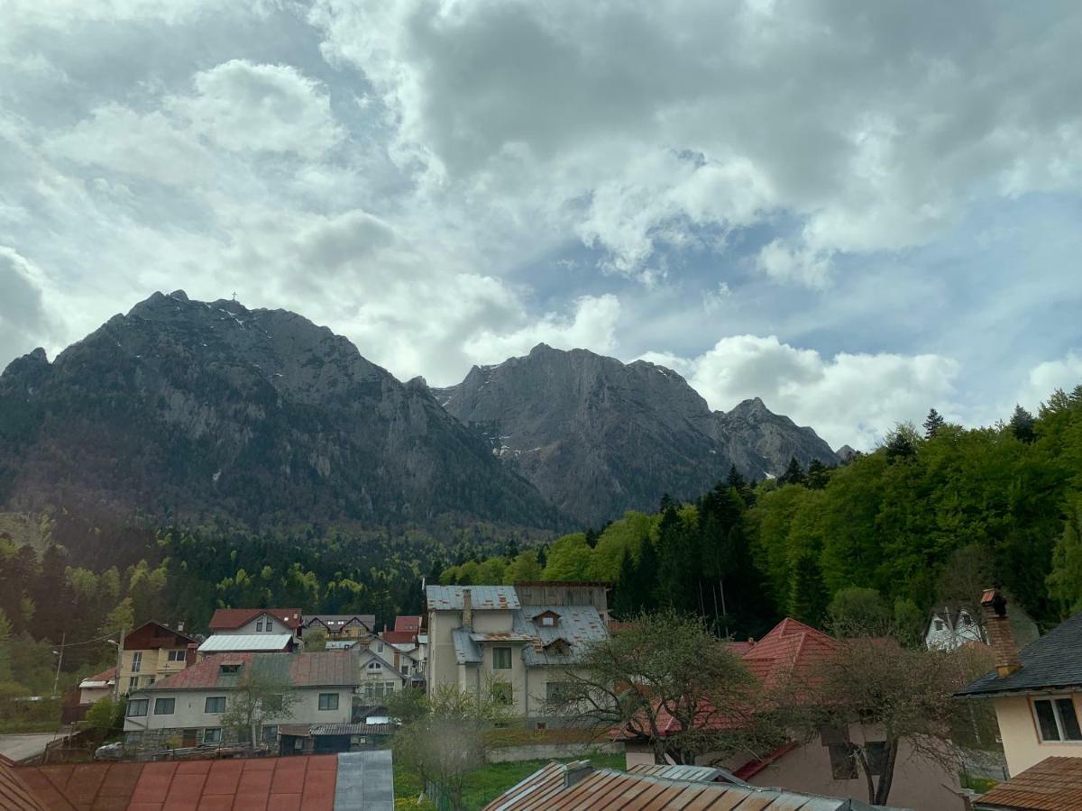 Vila Curcubeu Buşteni Exterior foto
